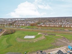 55-Moerasorchidee 29 - Lelystad.JPG